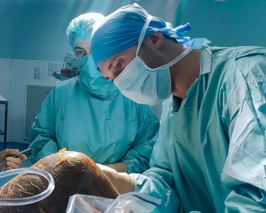 Chirurgien en pleine opération du genou